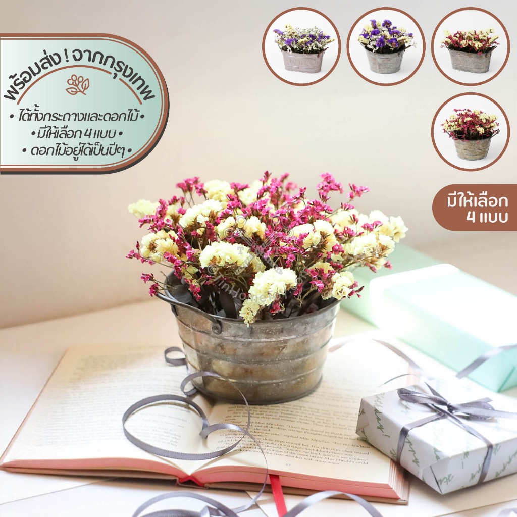 Rustic Blooming เซ็ทกระถางสังกะสี+ดอกไม้แห้ง | อบ แห้ง ธัญพืช ต้นไม้ ดอกไม้ ใบไม้ ไม้เลื้อย ไม้ประดับ กิ่ง ก้าน กระถาง