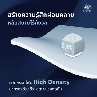 LOTUS รุ่น Angelus ที่นอนลดอาการปวดหลัง สัมผัสแน่นสบาย ส่งฟรี