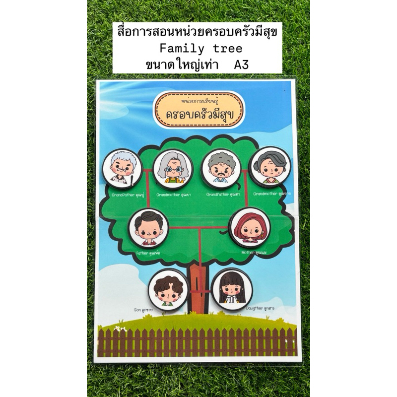 สื่อการสอนหน่วยครอบครัวมีสุข family tree สื่อการสอนปฐมวัย ขนาดใหญ่เท่า A3