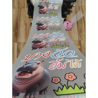 พิมพ์DTF ตัวรีดติดเสื้อ แบบเมตร 30×100cm.