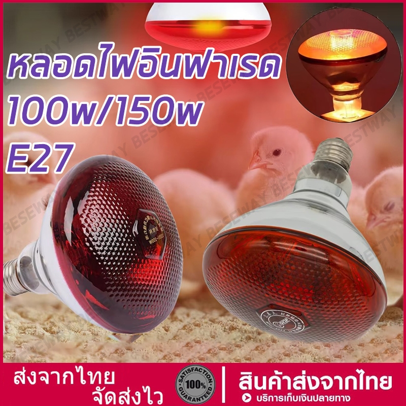 【สต็อกพร้อม】ไฟกกหมู ให้ความอบอุ่นสัตว์เลี้ยงไฟกกสัตว์เลี้ยง  ไฟกกความร้อน กกลูกไก่ หลอดไฟอินฟาเรด แบบหนา 250 W