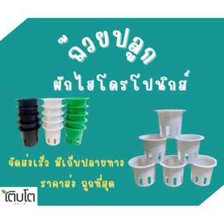 ถ้วยปลูกผักไฮโดรโปนิกส์ ถ้วยปลูกสีขาว ถ้วยปลูกผักแบบใช้ซ้ำ 2…