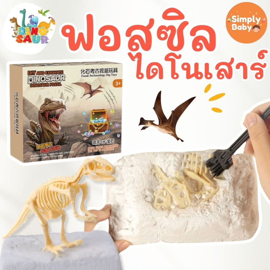 Simply Baby ชุดของเล่นฟอสซิลไดโนเสาร์ เสริมพัฒนาการและการเรียนรู้ไดโนเสาร์