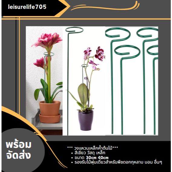 วงแหวนเหล็กค้ำต้นไม้,วงแหวนโลหะสำหรับปลูกต้นไม้ในสวนรองรับไม้พุ่มเดี่ยวสำหรับพืชดอกกุหลาบ บอน อื่นๆ