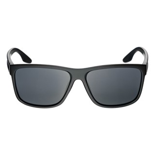 Marco Polo Sunglasses รุ่น 8453