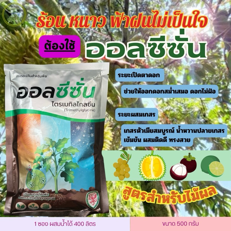 ออลซีซัน 500 กรัม สารสกัดจากธรรมชาติ ส่งเสริมการเจริญเติบโต การออกดอกออกรวง ลดการหลุดร่วงดอกและผล ช่วงอากาศแปรปรวน