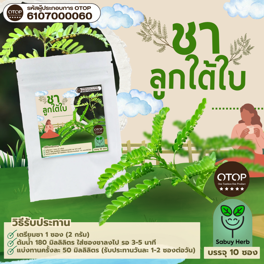 🔥ออกใบกำกับภาษีได้📌 ชาลูกใต้ใบ แบบซองแช่ ไม่มีน้ำตาล (สินค้าOTOP) (1 ห่อ 10 ซองชา)