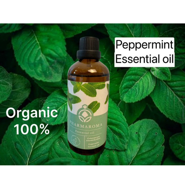 น้ำมันหอมระเหยเปปเป้อร์มิ้นต์ Peppermint Essential oil กลิ่นแท้***