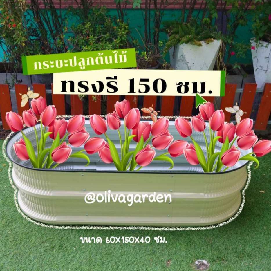 [ขนาดใหญ่ขึ้น] กระถางปลูก ทรงรี 150 - 160 ซม. สำหรับปลูกต้นไม้ ดอกไม้ - แข็งแรงทนทานไม่เป็นสนิม