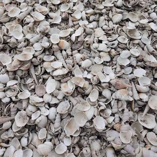 ปูนขาวเปลือกหอยเผาโดโลไมท์ 900g. บดละเอียด แก้ปัญหาพืช ฆ่าเชื้อรา ปูนขาวผสมแร่โดโลไมท์ 100% ปูนเปลือกหอยแท้