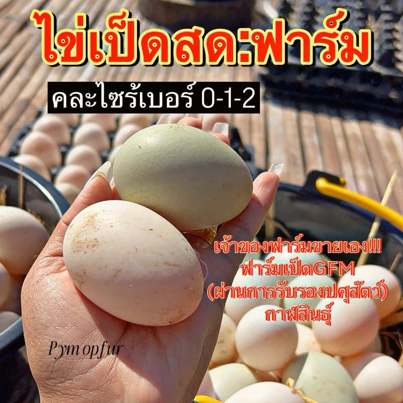 ไข่เป็ดสด10-20-30ฟองสดใหม่ส่งตรงจากฟาร์มเราเองฟาร์มมาตรฐานGFM