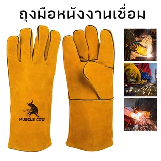 MUSCLE COW ถุงมือหนังงานเชื่อม 10.5" และ13" ทำจากหนังวัวชั้นที่ 2 ทั้งชิ้น เบาและสามารถระบายอากาศได้ดี ถุงมือเชื่อม