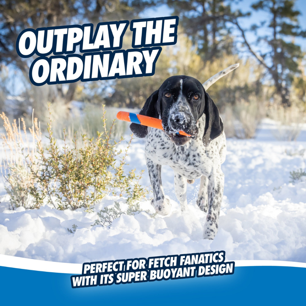 🇺🇸USA Import🇺🇸 Chuckit! Ultra Fetch Stick Dog Toy ของเล่นสุนัขรูปทรงไม้สติ๊ก — صورة 3
