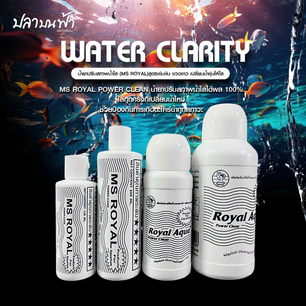 MS ROYAL POWER CLEAN (ขวดขาว) น้ำยาปรับสภาพน้ำใส สูตรเข้มข้น ใส่ทุกครั้งหลังเปลี่ยนน้ำใหม่