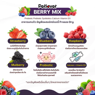 Berry Mix อาหารนกแก้ว ผสมมิกซ์เบอรี่ฟรีซดราย สูตรพรีเมี่ยม สำหรับนกขนาดเล็ก - กลาง (กระปุก 300G / 500G)