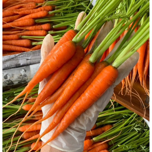พร้อมส่ง‼️ 500g/1000g เบบี้แครอท baby carrot - รูปที่ 2