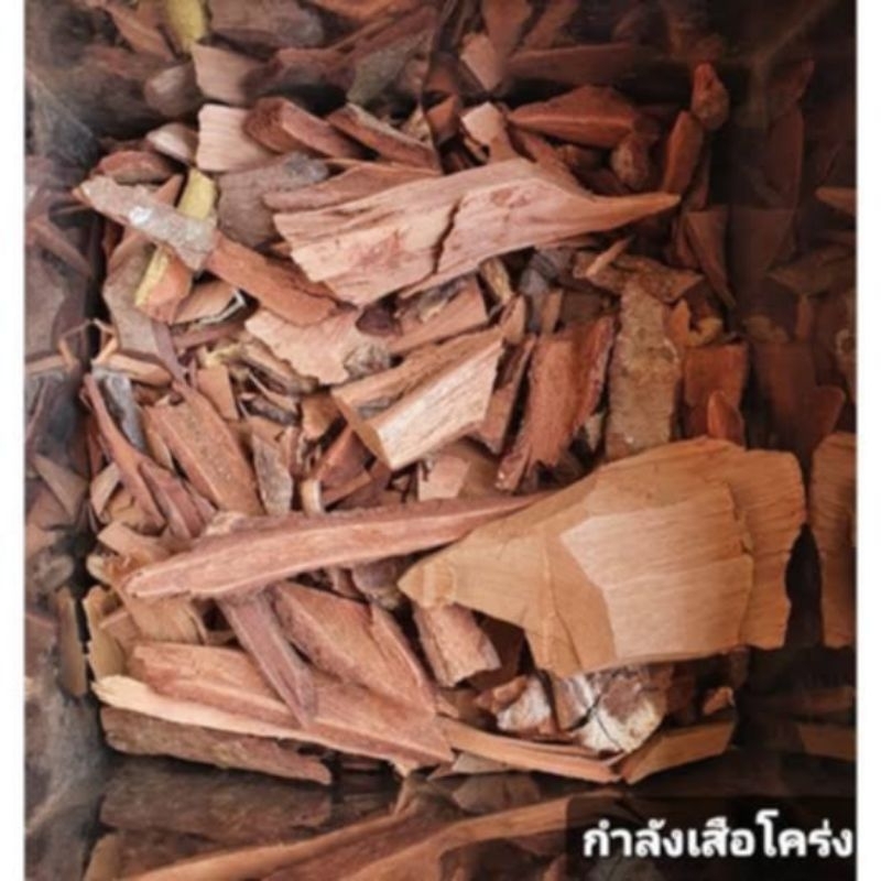 กำลังเสือโคร่ง กิโลล่ะ65บาท