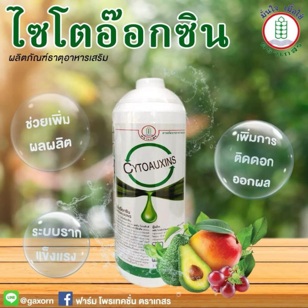 ไซโตออกซิน Cytoauxin สารสกัดจากสาหร่ายทะเล จากแอฟริกาใต้ ขนาด 1 ลิตร น้ำสีเขียวธรรมชาติฉีดบนใบไม้ไม่ทิ้งคราบ