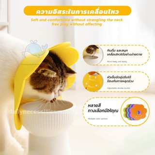 🐶🐱คอลล่าแมว ปลอกคอกันเลีย คอลล่าสุนัข อลิซาเบธ ปลอกคอดอกไม้ …