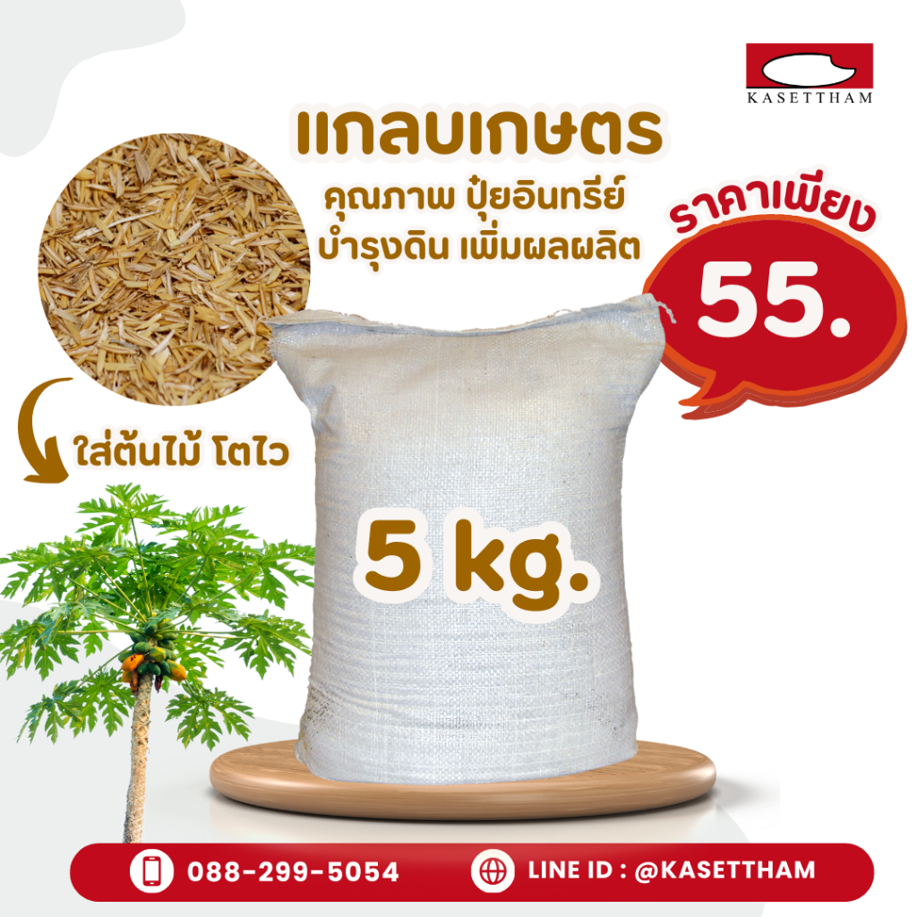 4.9 กก. แกลบเกษตรคุณภาพ | ปุ๋ยอินทรีย์ บำรุงดิน เพิ่มผลผลิต! ส่งเร็วส่งไว