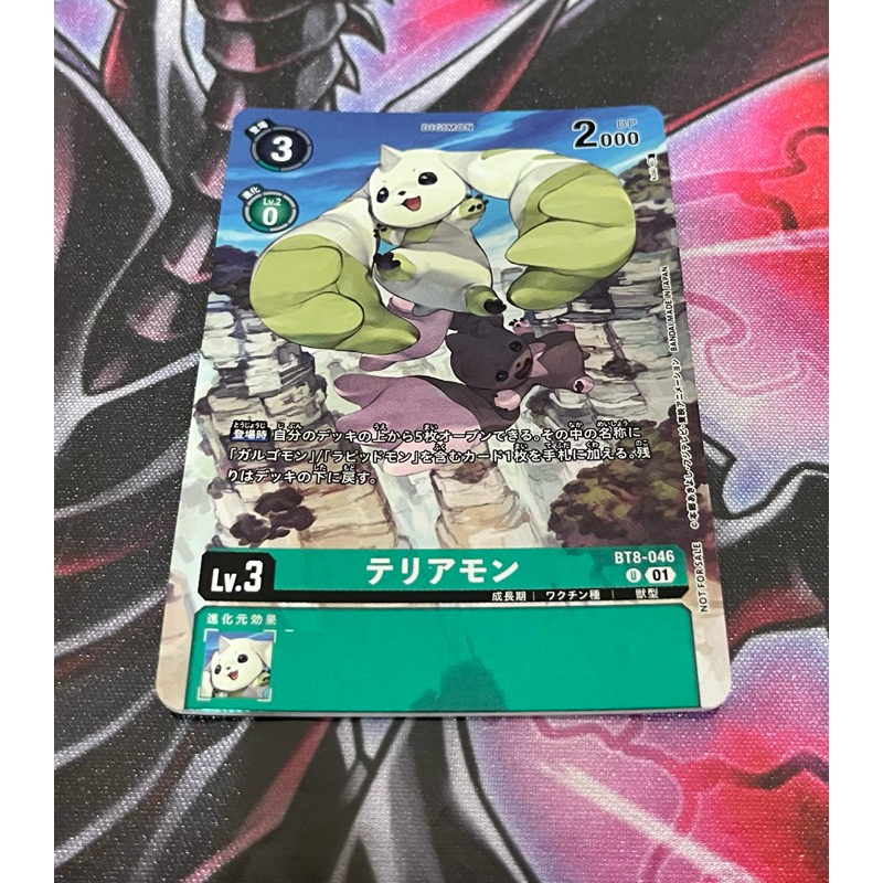 Thumbnail 8