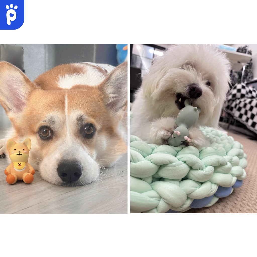 My Paws ของเล่นยางกัดสุนัขzoo ของเล่นหมาแบบยาง ลายน่ารักมีให้เลือกหลายแบบ กัดได้สนุกช่วยขัดฟัน - รูปที่ 6