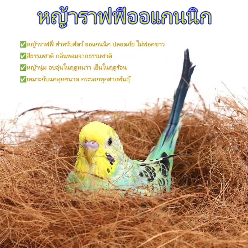 หญ้าราฟฟี่ หญ้ารังนก หญ้ากระรอก บ้านนก ที่นอนนก 30กรัม หญ้านุ่ม อบอุ่นในฤดูหนาวและเย็นสบายในฤดูร้อน