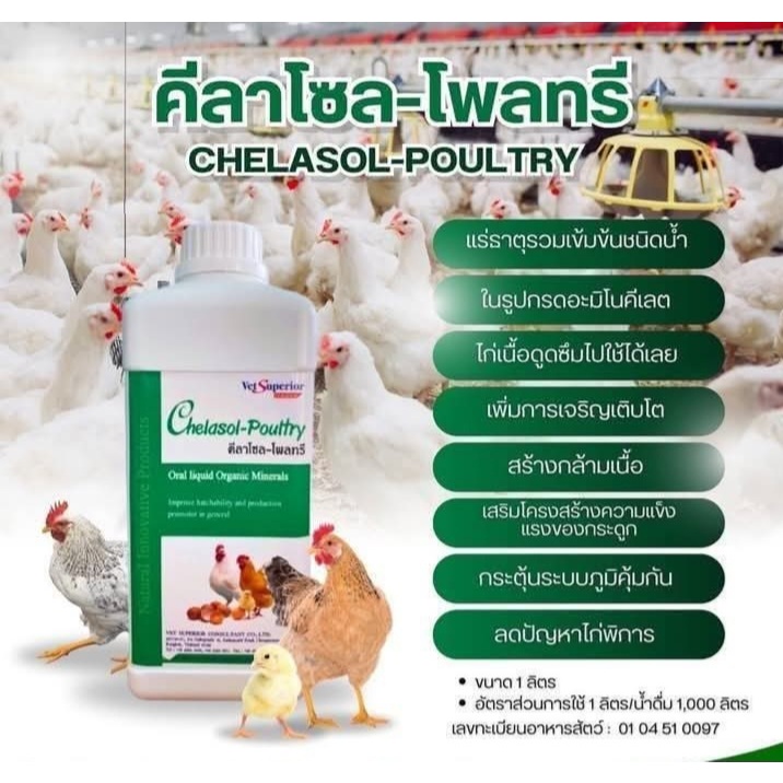 Chelasol - poultry  คีลาโซล - โพลทรี  ขนาด 1ลิตร ( EXP:14/4/2026)