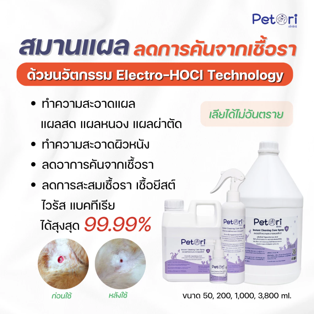 [แผลแห้งเร็วมาก] Petori สเปรย์พ่นแผล แห้งสมานไว สเปรย์เชื้อราแมว Petori Instant Cleaning Care Spray