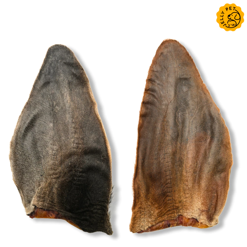 Jelly Pet หูวัวอบแห้ง ขนมขัดฟันสุนัข Dehydrated Cow Ear Dog Treat ขนมสุนัขสุขภาพ ขนมหมาสุขภาพ thumbnail 6