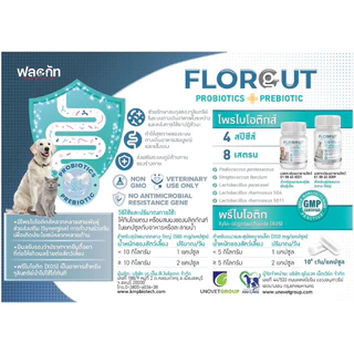 Florgut 30 แคปซูล🔥Exp.2028 อาหารเสริมโปรตีน พรีไบโอติกและโพรไบโอติก ปรับสมดุลลำไส้ สำหรับสุนัขและแมว