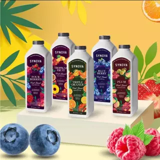 น้ำผลไม้เข้มข้น Fruit Based Preparation (Btl-1 L.)