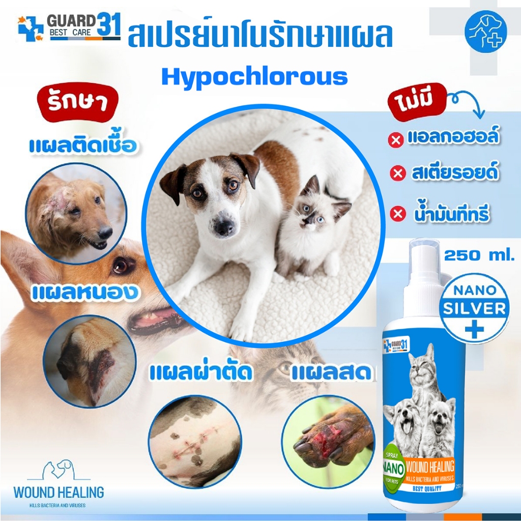 Guard31สเปรย์นาโน แผลแห้งไว สเปรย์พ่นแผลสัตว์เลี้ยง เชื้อราแมว สุนัข ลดอาการคัน ทำความสะอาดแผล