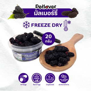 Mulberry มัลเบอรี่ ฟรีซดราย ไร้น้ำตาล ไร้เกลือ อาหารนกแก้ว แ…