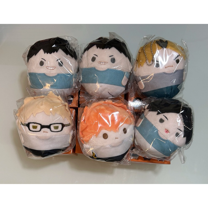 fuwa kororin haikyuu vol.9 ฟุวะไฮคิว