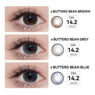 【1คู่ลด฿3, 2คู่ลด฿10】[-1.00-8.00] Midroo แว่นตาสายตาสั้น คอนแทค Butter Bean Brown/Grey/Blue-14.2mm 【FDA approved❗】