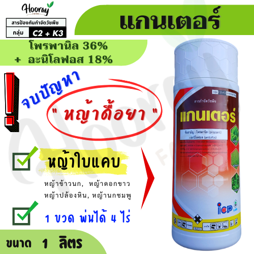 แกนเตอร์ 1 ลิตร ( โพรพานิล + อะนิโลฟอส ) กำจัดหญ้าดื้อยา หญ้าข้าวนก หญ้าดอกขาว หญ้าลิเก