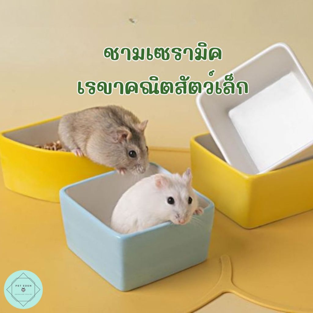 ชามเซรามิคทรงเรขาคณิตของสัตว์เล็ก แฮมเตอรื หนู ชูก้า กระรอก กระต่าย Small