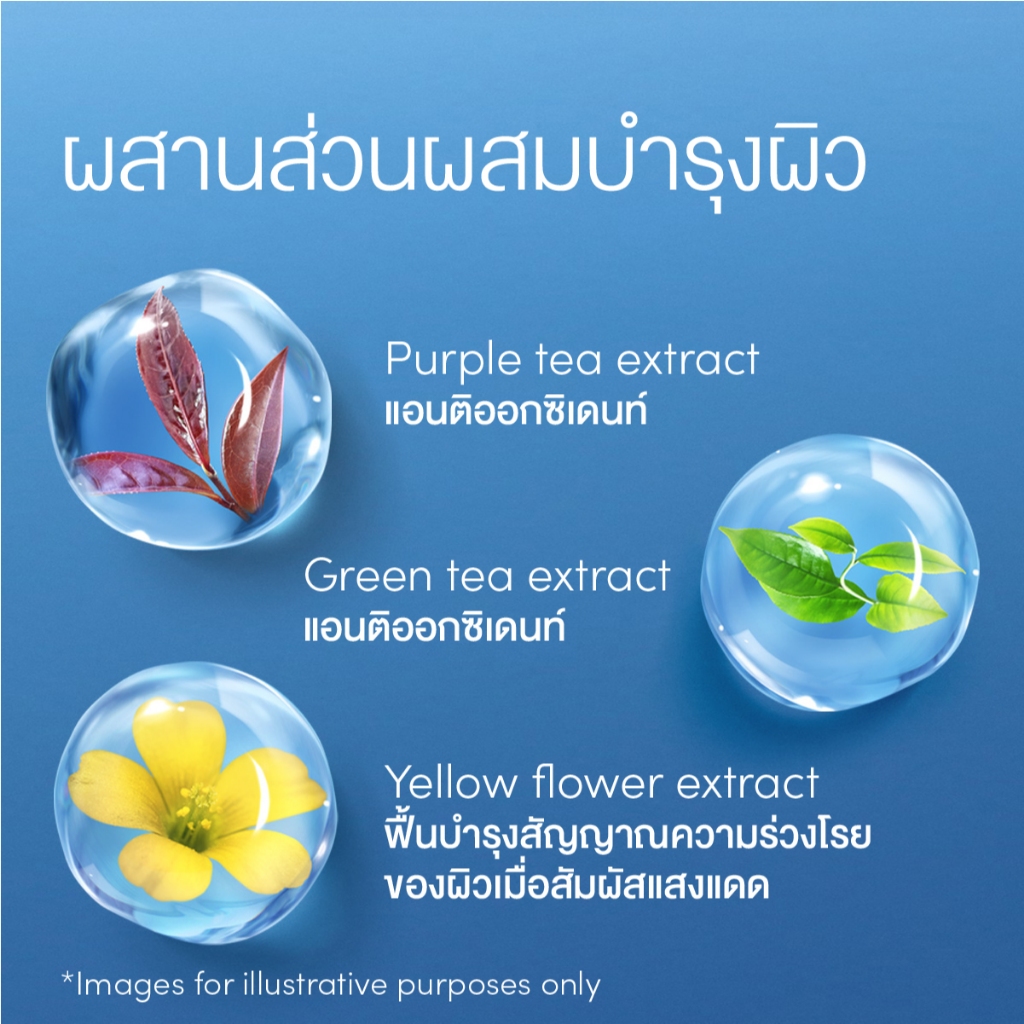 รูปภาพ 8