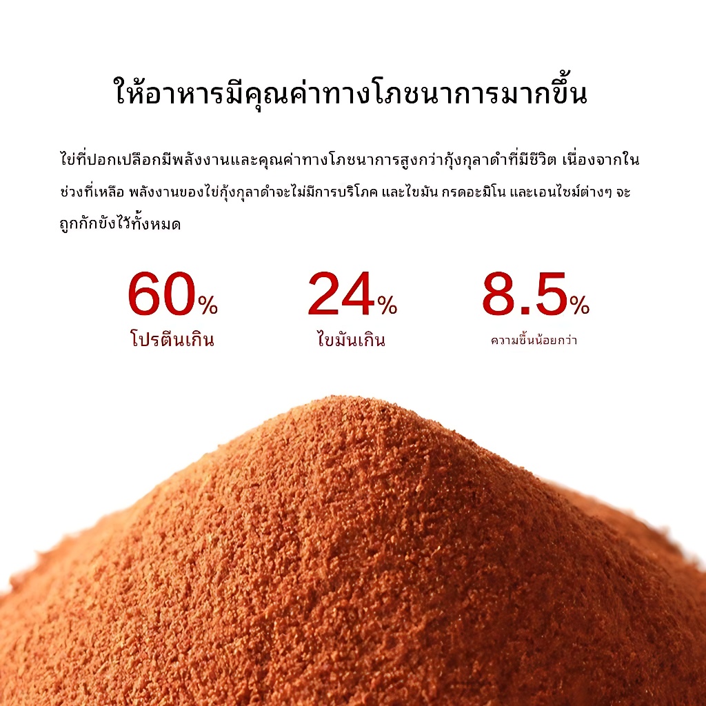 อาร์ทีเมีย ฟอกเปลือก ให้ปลากินได้ทันที อาหารปลาแรกเกิด อาหารปลากัดแรกเกิด อาหารปลาหางนกยูง