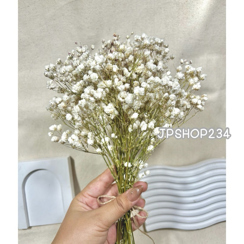 Gypsophila ยิปโซแห้ง ดอกไม้แห้ง ดอกยิปโซตากแห้งกำใหญ่ดอกฟู (F2) ราคา ถูกที่สุด ดีลบีเคเค แกลเลอรีภาพที่ 4