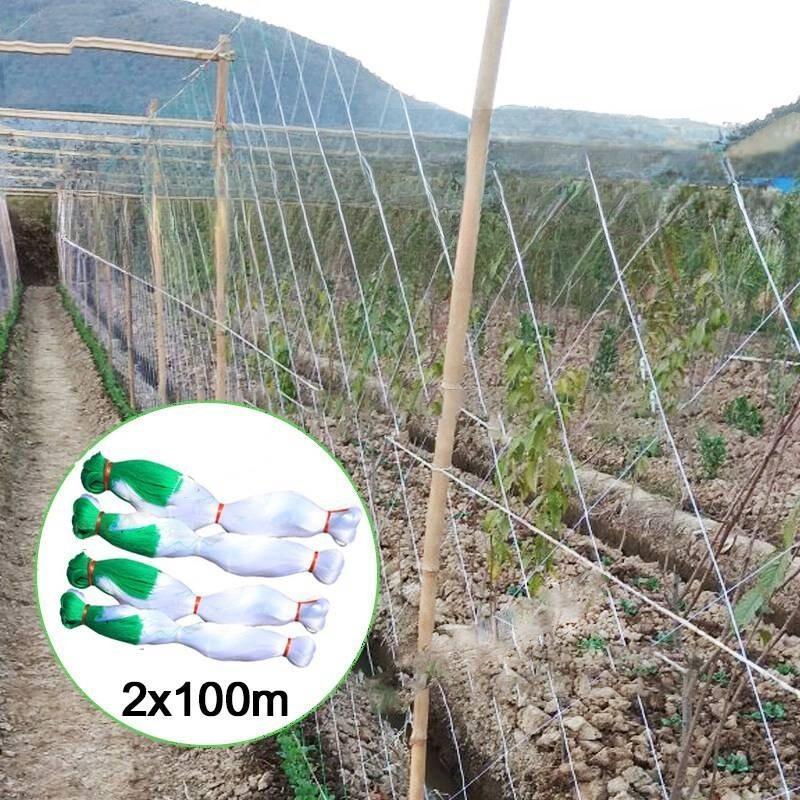 างปลูกผัก ค้างผัก 2*100m ตาข่ายปลูกผัก โครงไม้เลื้อย ค้างไม้เลื้อย ตะข่ายไนลอน ต้นไม้เลื้อย อวนแตง ตาข่ายปลูกแตงกวา