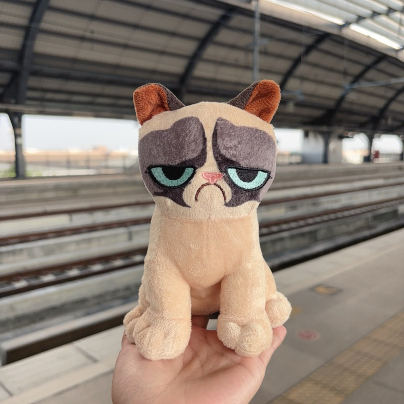 ตุ๊กตาแมวหน้าบึ้ง ตุ๊กตาสัตว์เหมื่อนจริง cat stuffed plush toy / Grumpy cat