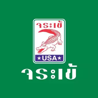 จระเข้ ใบตัดกระเบื้องไฟฟ้า 4 นิ้ว รุ่น ตัด อิฐ อิฐก้อน คอนกรีต
