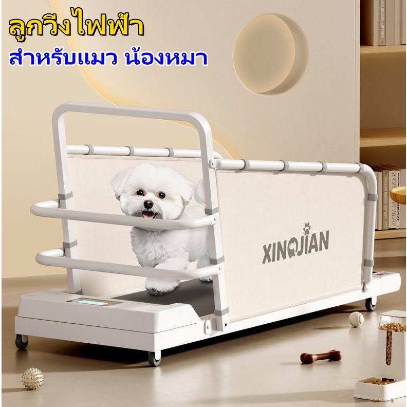 ลู่วิ่งไฟฟ้า ลู่วิ่งแมว ลู่วิ่งน้องหมา ลู่วิ่งสำหรับสัตว์เลี้ยง พร้อมส่งจากไทย