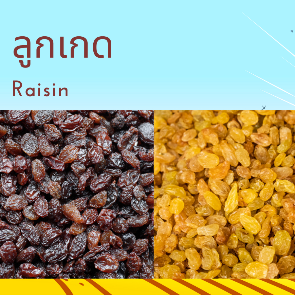 ลูกเกดดำ ลูกเกดเหลือง Black Raisin Yellow Raisin