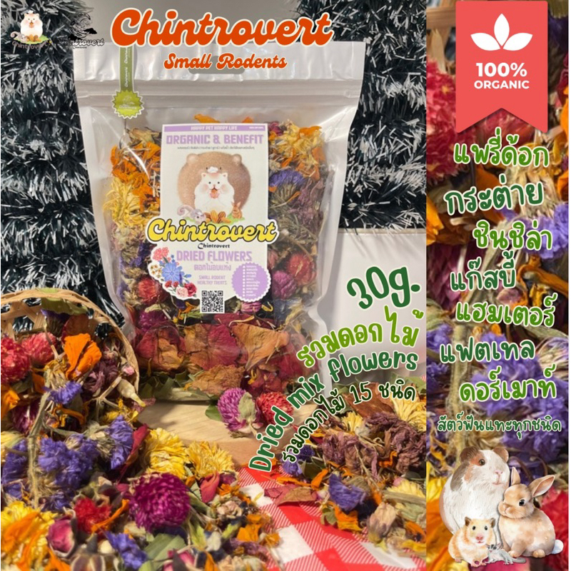 Chintrovert ✨ || รวมดอกไม้อบแห้ง Mix Flowers 30g. || ขนมกระต่าย ชินชิล่า แฮมเตอร์ สัตว์ฟันแทะทุกชนิด 🌻