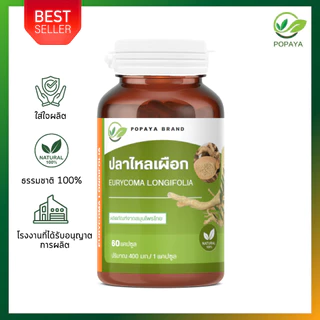 ผงปลาไหลเผือก 60 แคปซูล/กระปุก ปลาไหลเผือก100% Tongkat Ali