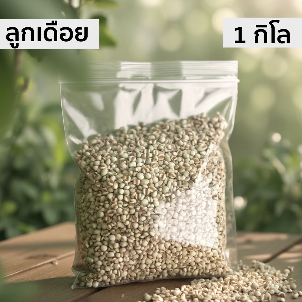 มีส่งด่วน ลูกเดือย เกรดพรีเมี่ยม 1000กรัม  500 กรัม