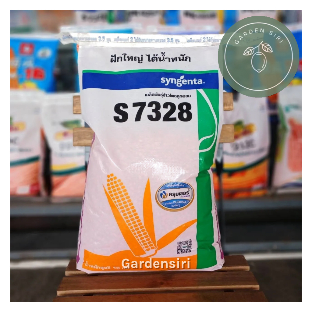 เมล็ดพันธุ์ข้าวโพดเลี้ยงสัตว์  NK S 7328 ขนาด3.5หุน 10kg. ฝักใหญ่ ได้น้ำหนัก
